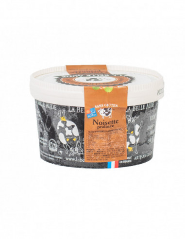 Crème glacée Noisettes Praliné 0.55L