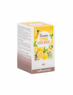 Tisane gingembre citron BIO...