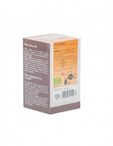 Tisane orange cannelle BIO 20x2G