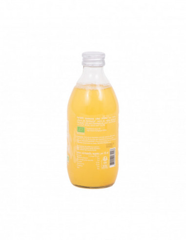 Kombucha BIO Curcuma Citron Vert  0.33L