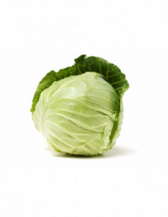 Chou blanc français