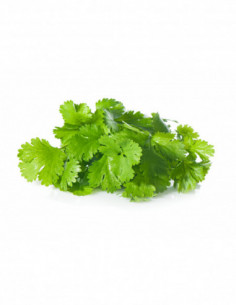 Coriandre des...