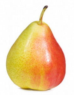 Poire Conférence 1kg