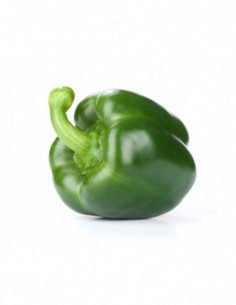 Poivron vert x1 (env. 250g)