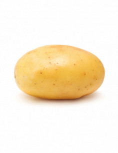 Pomme de terre Agata 500g