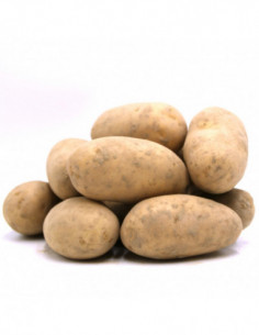 Pomme de terre Bintje 0,500 kg