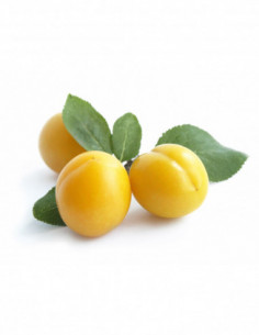 Prune mirabelle 0,500 kg