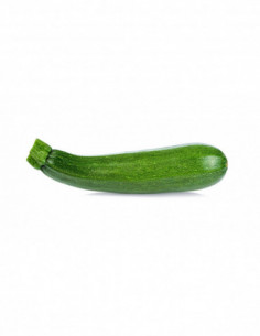 Courgette de l'Hérault 1kg