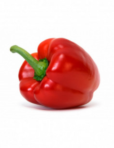 Poivron rouge x1 (env. 250g)