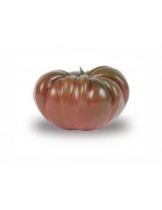 Tomate ancienne noire 500g