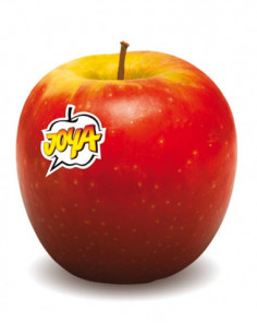 Pomme Joya de Mauguio x1...