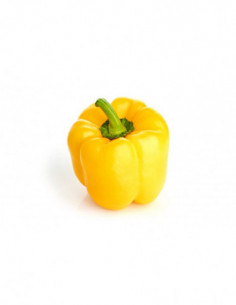 Poivron jaune x1 (env. 250g)