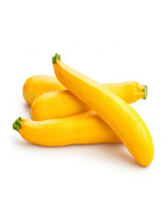 Courgette jaune 1kg