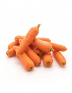Carotte de Mauguio 500g