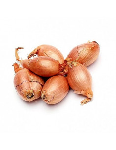 Échalote française 1kg