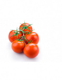 Tomate grappe 500g