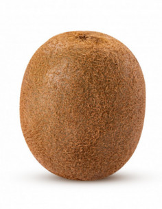 Kiwi vert français x1