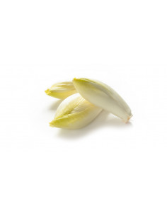Endives france 1kg