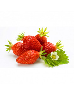 Fraise Gariguette de...