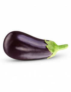 Aubergine env. 250g x1