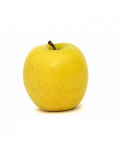 Pomme golden de Mauguio 1kg