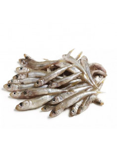 Jols de Méditerranée env. 1kg