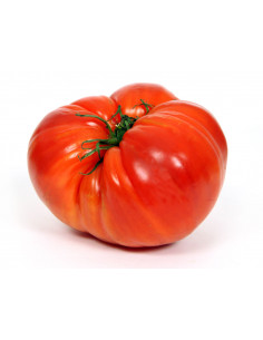 Tomate cœur de bœuf 1kg
