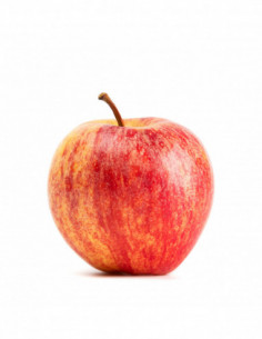 Pomme royal gala petit...