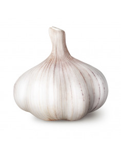 Ail tête d'env. 80g