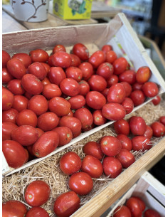Tomates à coulis 5kg